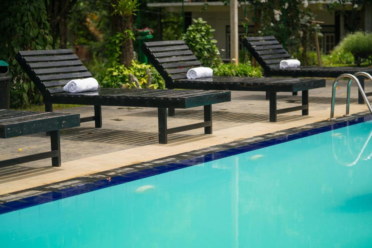 Ella Forest Paradise Hotel Εξωτερικό φωτογραφία